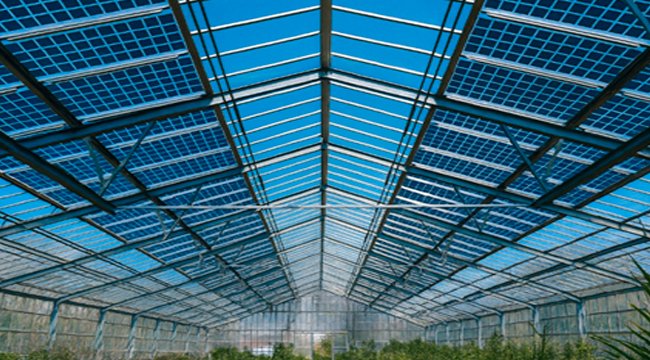 Paneles Agrivoltaicos